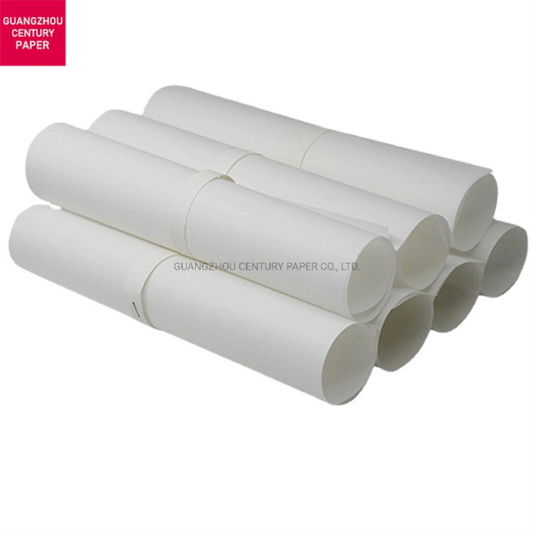 Factory Direct Sale Eco Friendly Raw Materials White Kraft Paper Roll