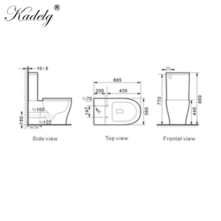 Australian Design Two Piece Toilet Closed Couple Toilet