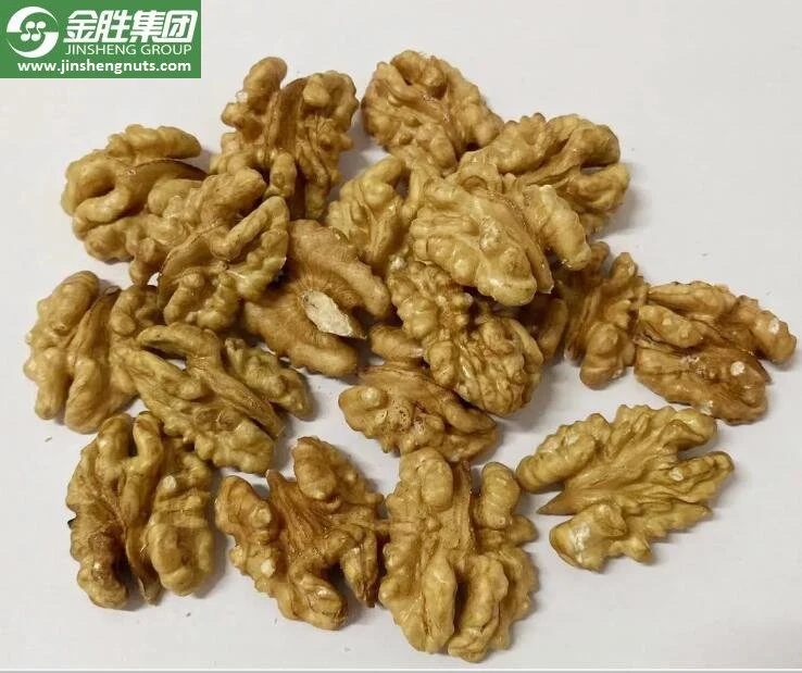 Xinjiang Origin Excellent Quality Walnuts in Shell at Wholesale/Supplier Price