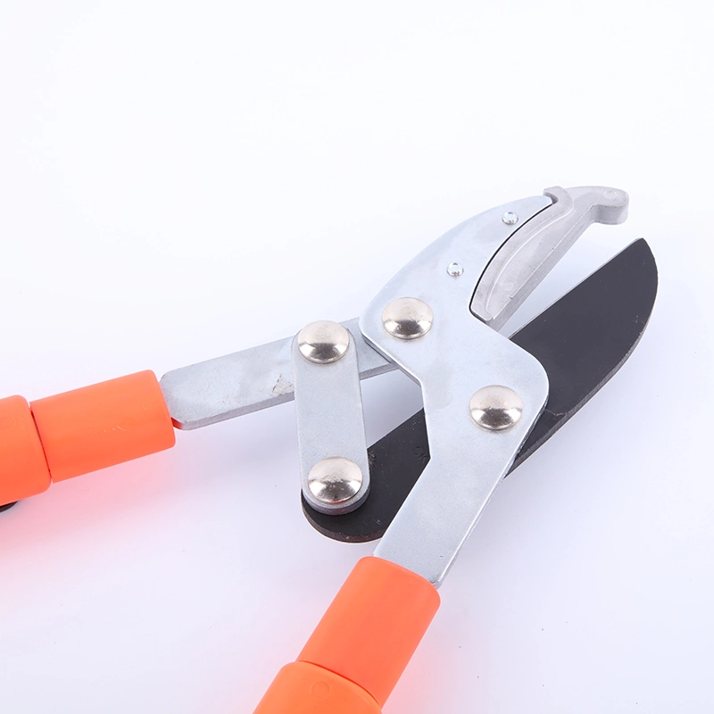 Carbon Steel Hand Tool for Hedge Pruning