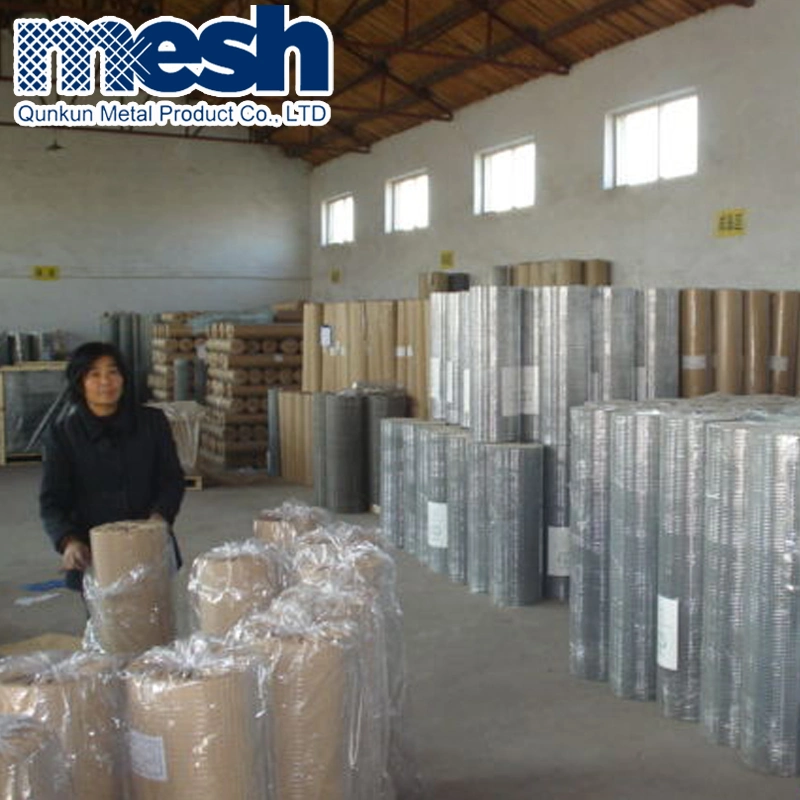 High quality/High cost performance  Galvanized Storage Cage