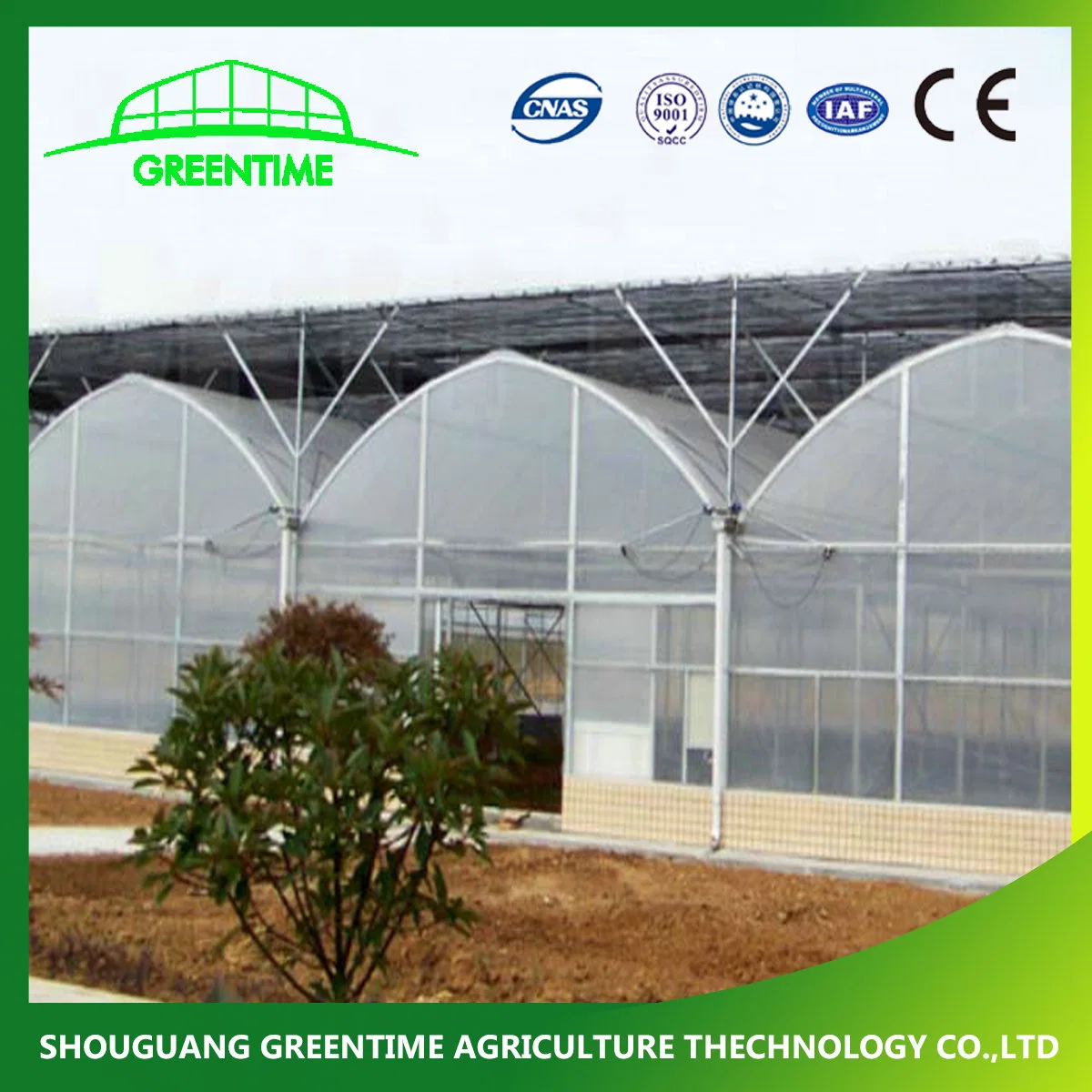 Hot Sale Multi-Span PE/PE Plastic Film Agricultural Greenhouse for Tomato/ Lettuce Planting