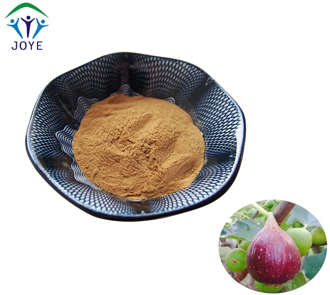 China Manufacturer EU Organic Fig Leaf Powder