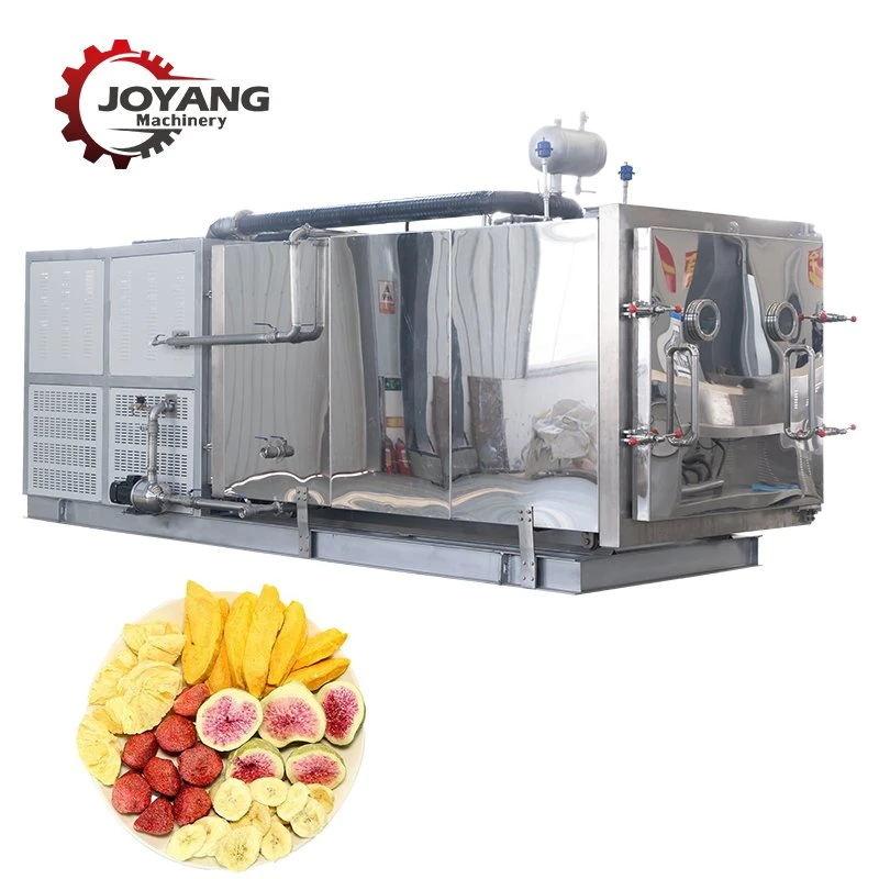 Industrial 30 Square Meter Vacuum Freeze Dryer for Drying Fruit Vegetable Meat