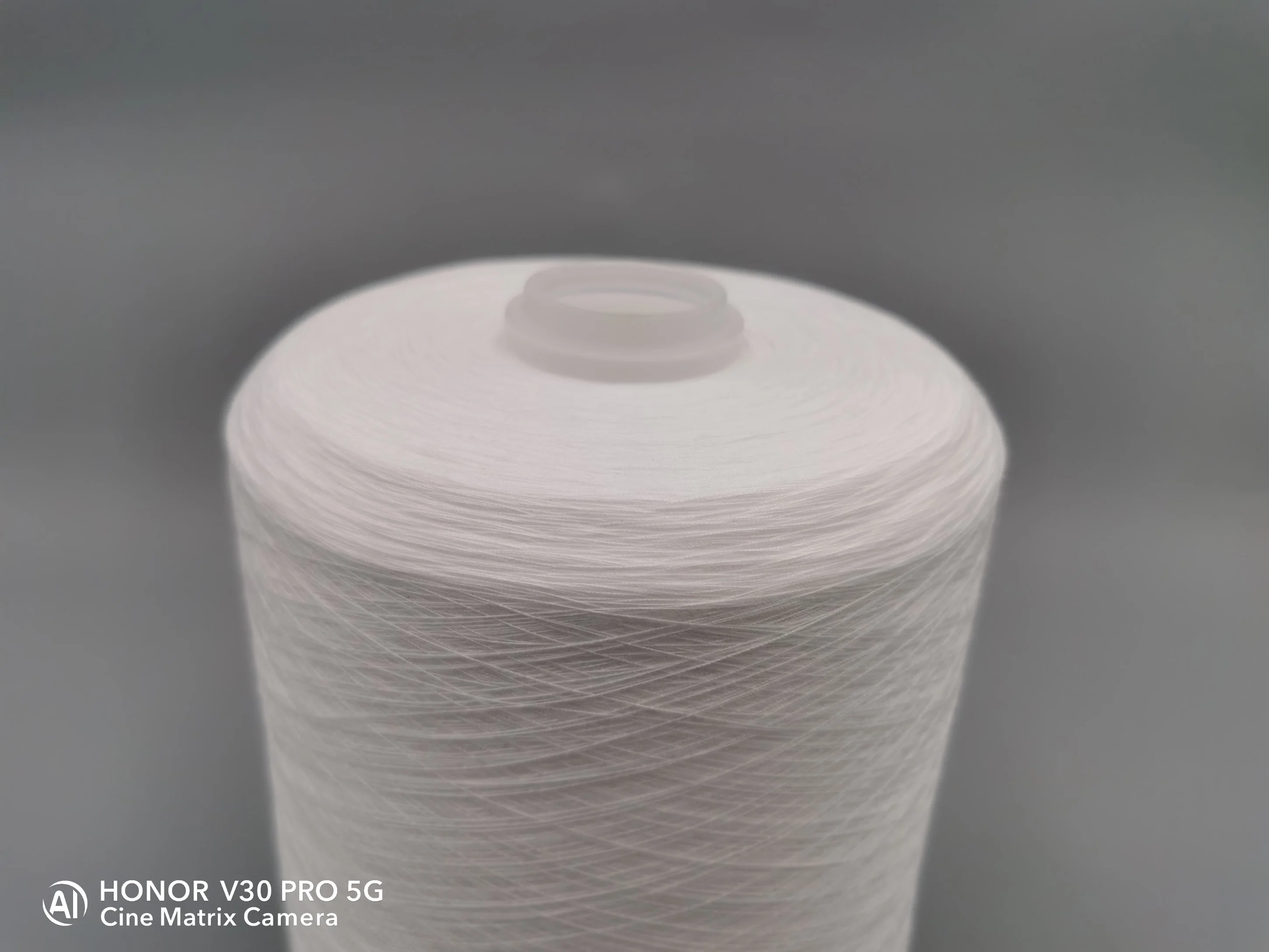 Garment Yarn 0.95kg Polyester Spun Yarn 202 203 402 for Vietnam Market