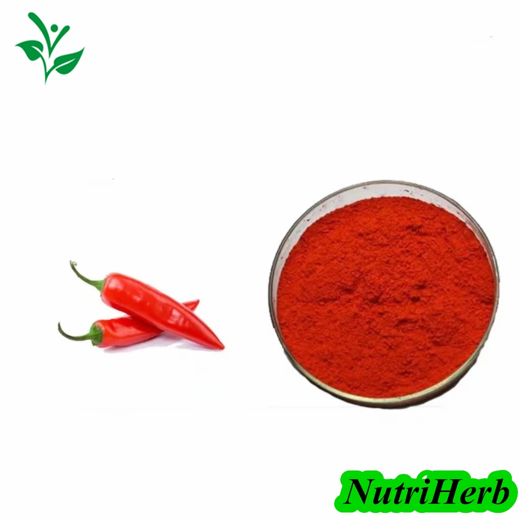 Natural Pigment Color Red Paprika Powder Capsicum Oleoresin
