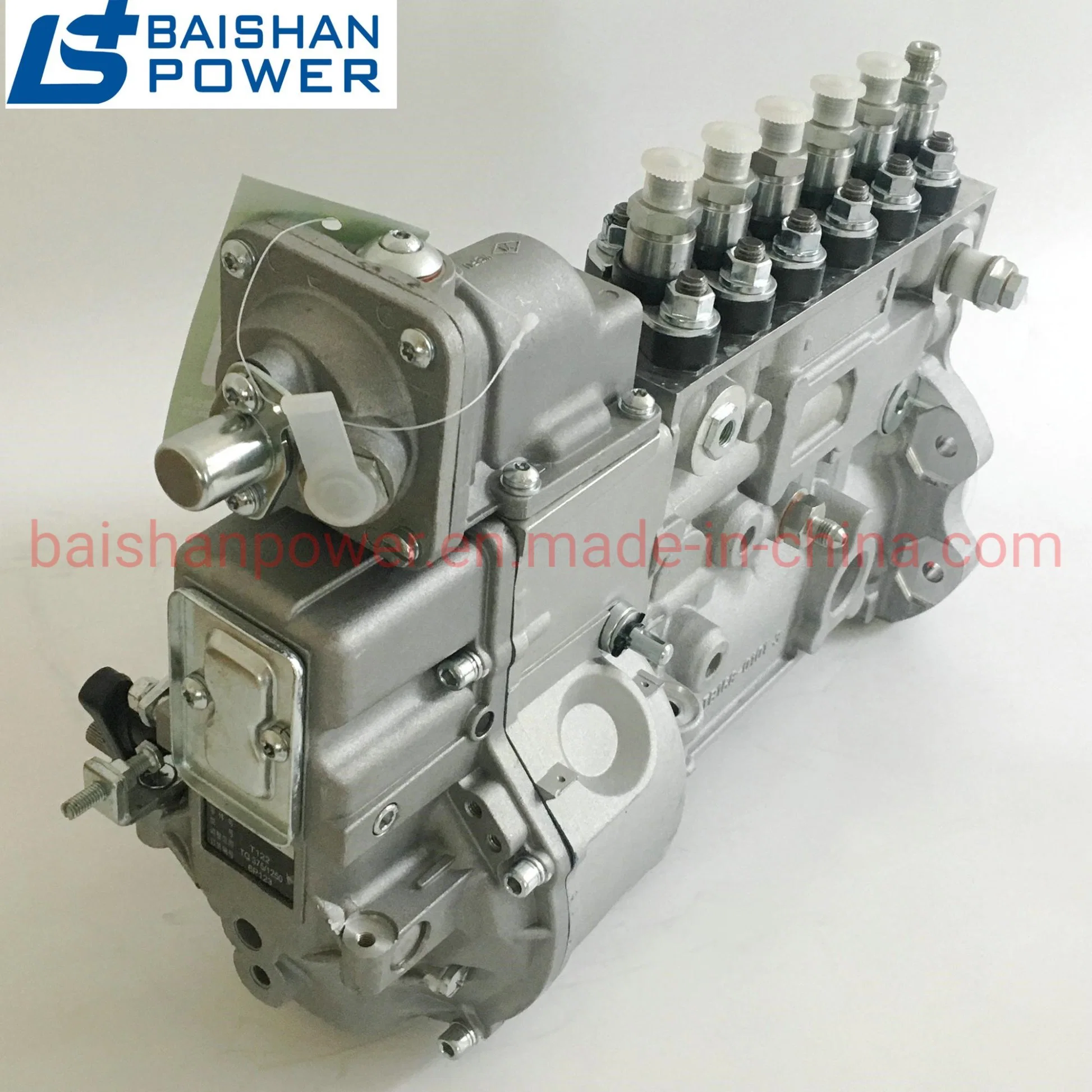 Fuel Injection Pump 5258264 0445020137 6btaa5.9-G2 5267707 3095556 6bt5.9-G2 5262671 Nt855 Kta19 Kta38 3070123 3973846 3960918 3080521 3971476 3960919