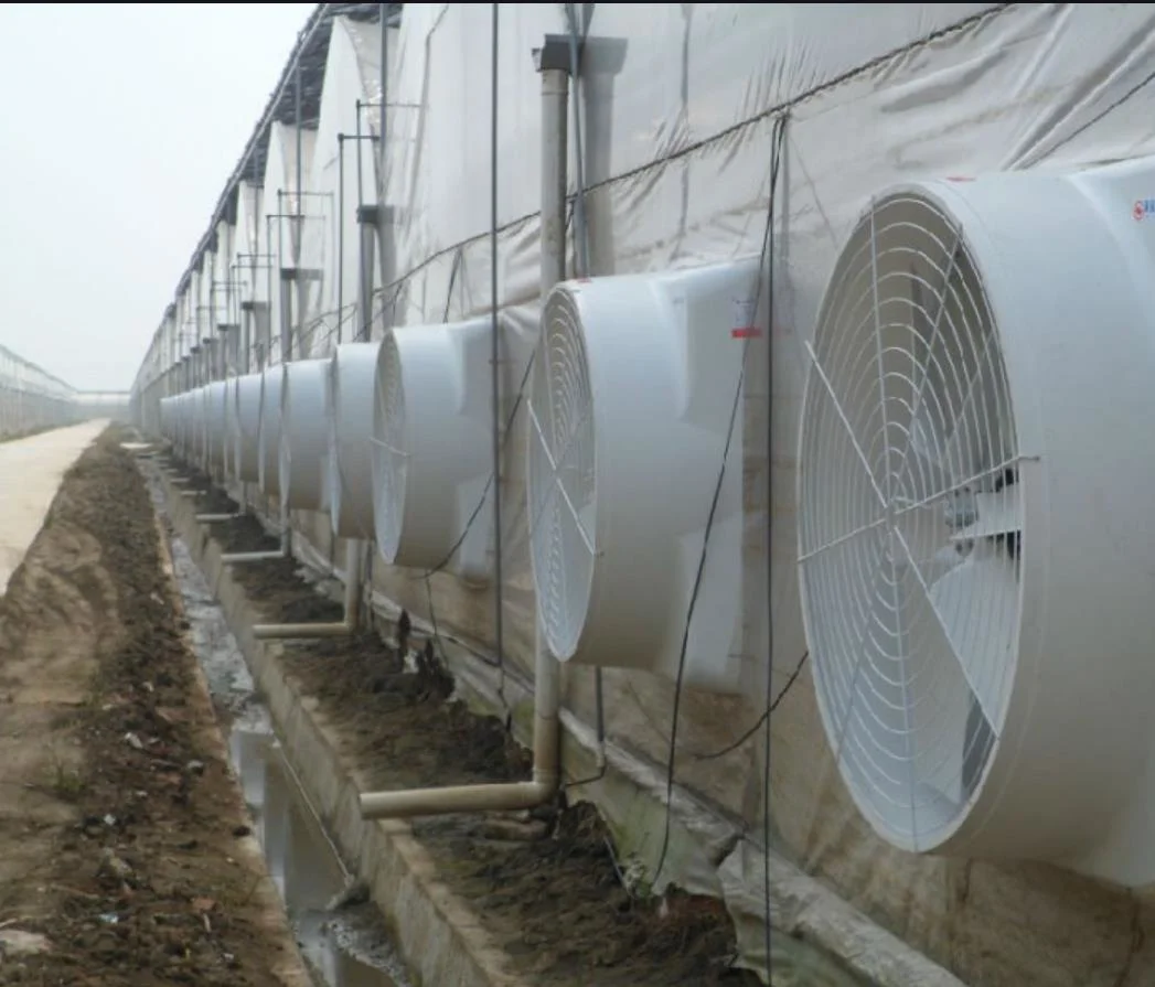 Drop Hammer Exhaust Fan/ Ventilator/Evaporative Air Cooler /Blower for Industrial /Poultry House/Greenhouse