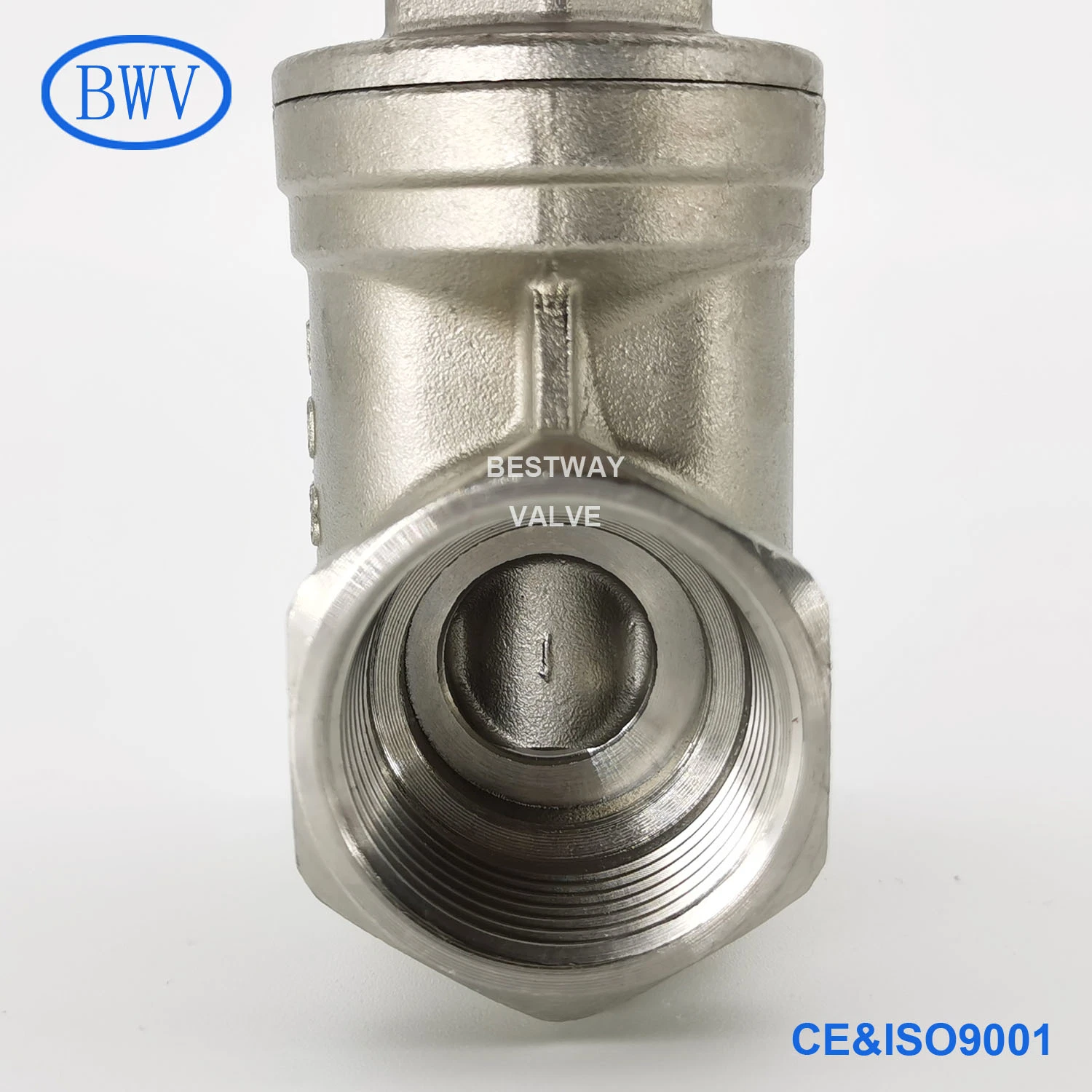 200wog CF8 CF8m NPT/Bsp/BSPP/BSPT Threaded Stainless Steel Gate Valve