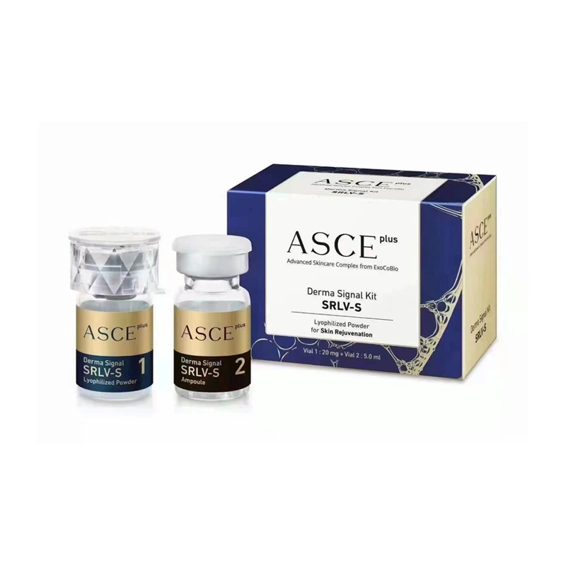 Premium ASCE Plus Derma polvo liofilizado solución de exosoma Reparación Mesoterapia Regeneración de células de la piel