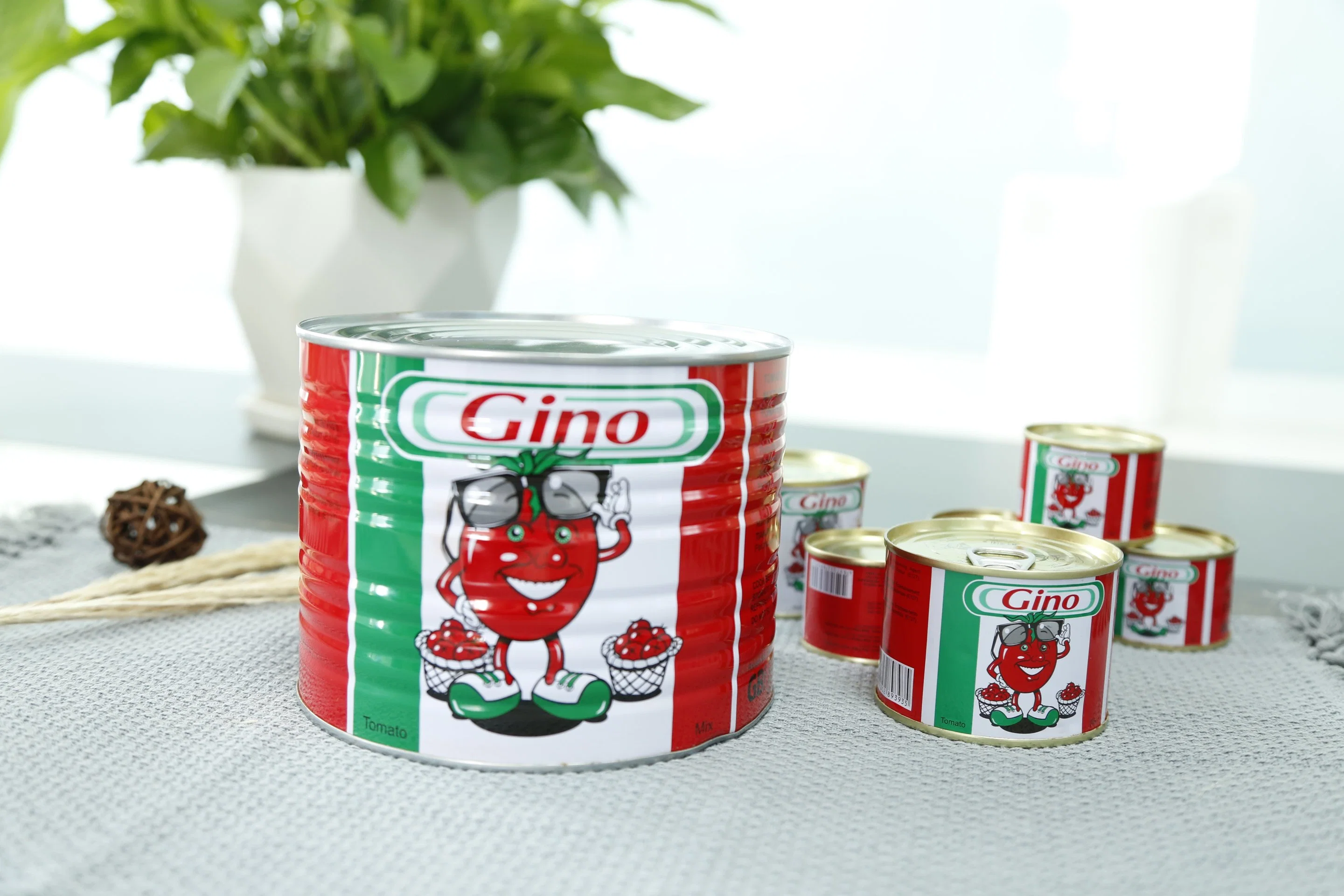 Ginny Brand Tomato Paste Factory in China Hebei Tomato