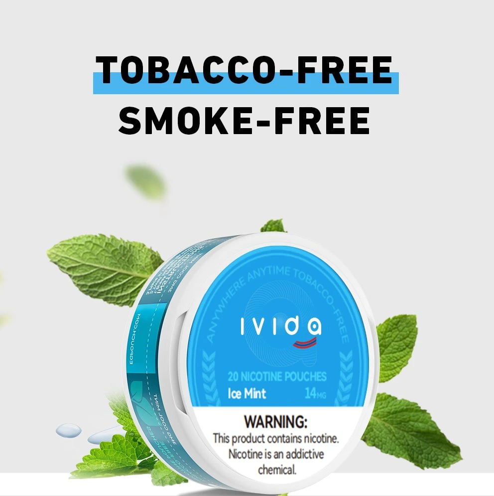 UK-Friend 2023 novos sabores de sensação OEM Custom Great Price tabaco Marcas mastigando tabaco sem fumo Vape Snape Snus Atacado fabricante nicotina Bolsa