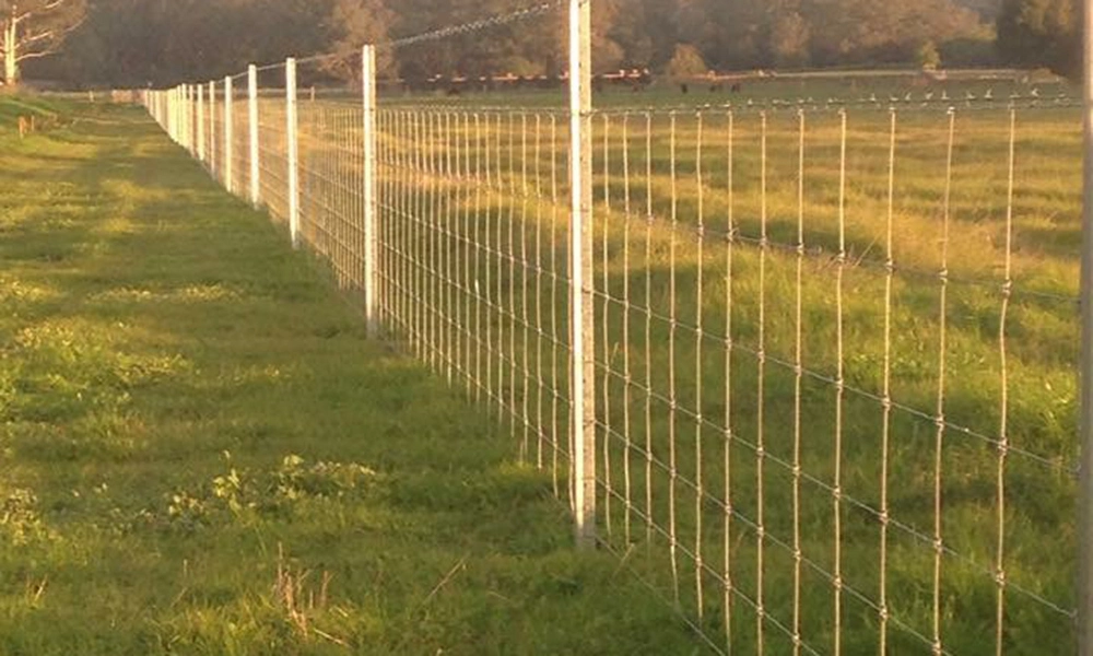 Galvanized Tightlock Fence Netting for Deer/Sheep Farm/Flied/Deer Wire Mesh Fence