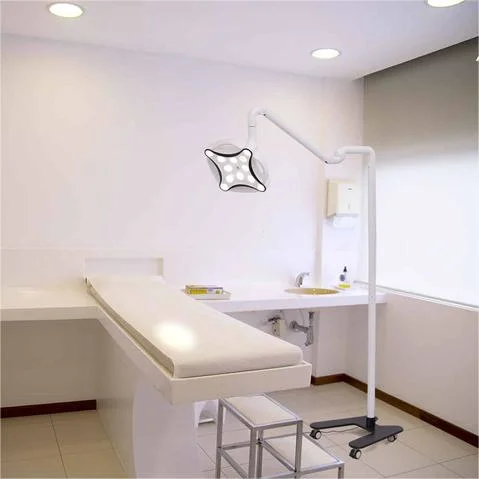 Jd1700L LED 30W Small Floor Standing Surgical Light Op-Lamp for Dental Procedures Dental Surgical Lamp