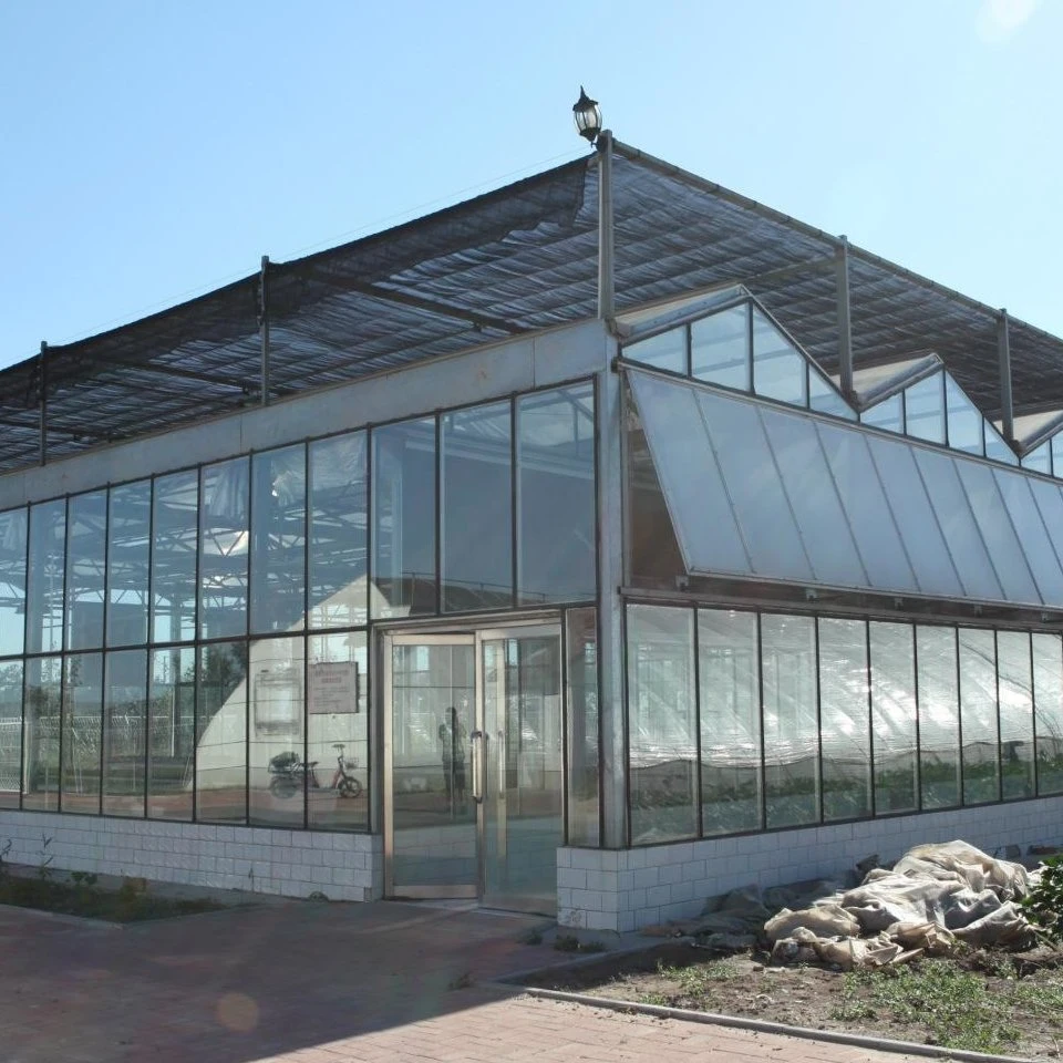 Venlo Glass Steel Structure Greenhouse