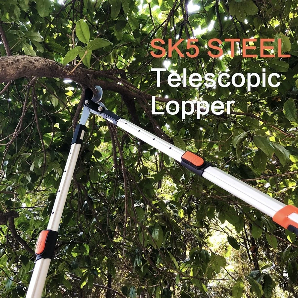 Hand Tools Made in China Extendable Tree Trimming Telescopic Lopping Shear