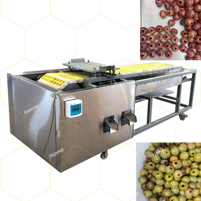 High Speed Mango Peeling Machine