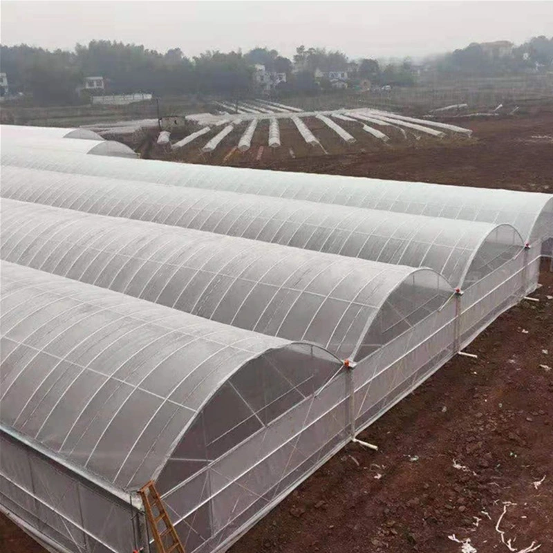 Modern Agriculture Farming Glass Greenhouse with Shading System