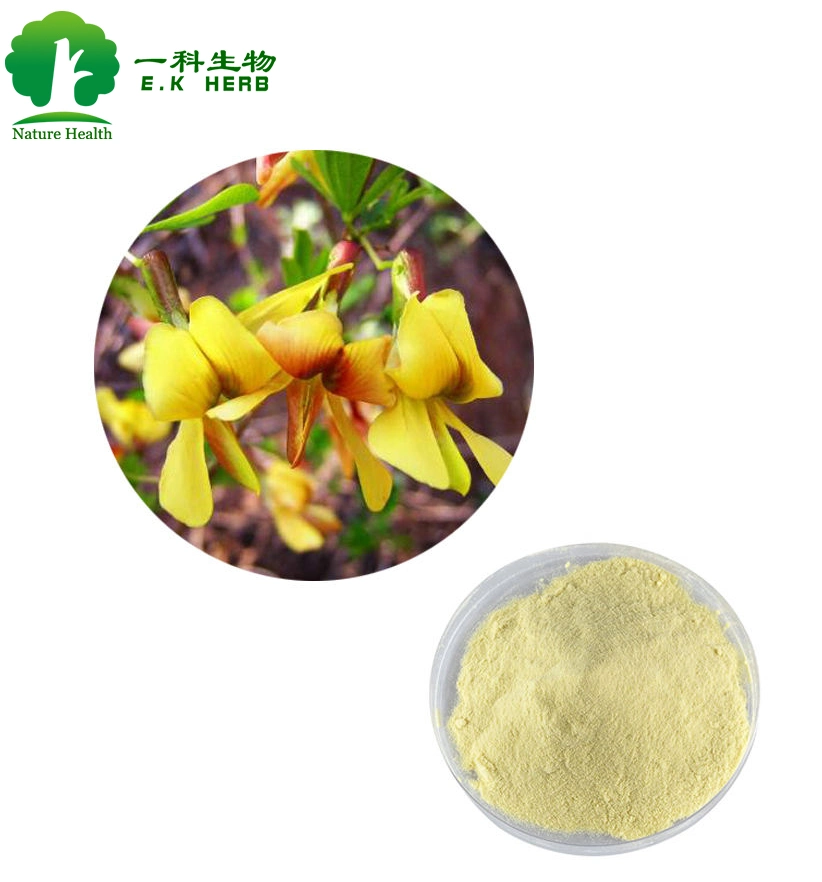 E. K Herb Supply Natural Gorse/Genista Root Extract Powder Genistein 98% 99% CAS 446-72-0 Sophora Fruit Extract