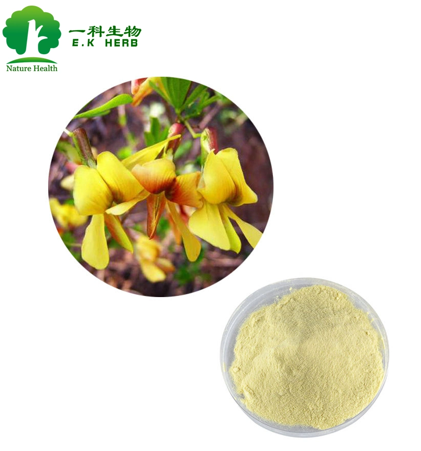 E. K Herb Supply Gorse naturelle/extrait de racine de Genista poudre génistéine 98% 99% cas 446-72-0 extrait de fruit de Sophora