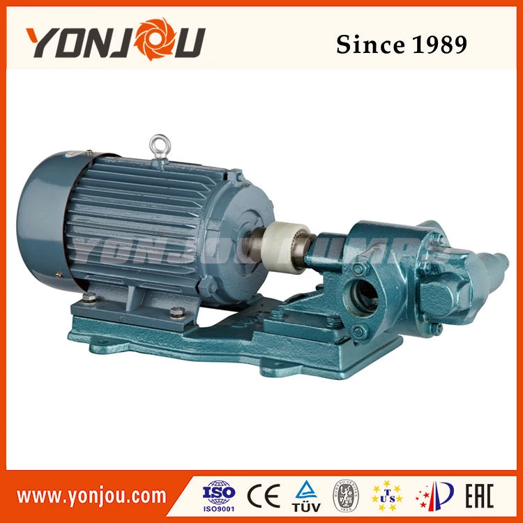 Yonjou Electric Diesel Fuel Pump