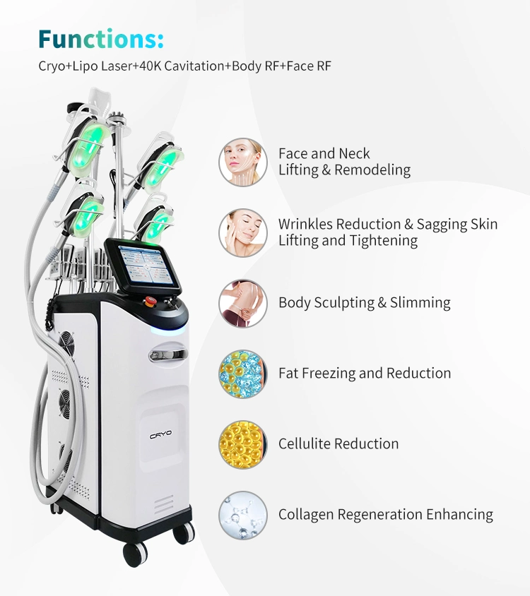 New Arrival 2023 Standary Cryolipolysis Slimming Machine 360 Fat Freezing Machine Cryolipolysis Machine with 5 Handles