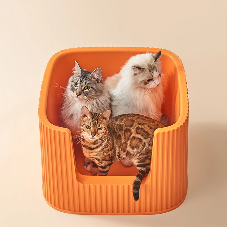 XXL Container Shape Pet Toilet Open Easy to Clean Cat Litter Box with Free Litter Mat and Scoop