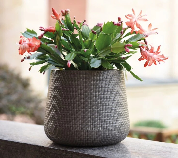 Decoration Self-Watering Plastic Flower Pot (KD2211-KD2214)