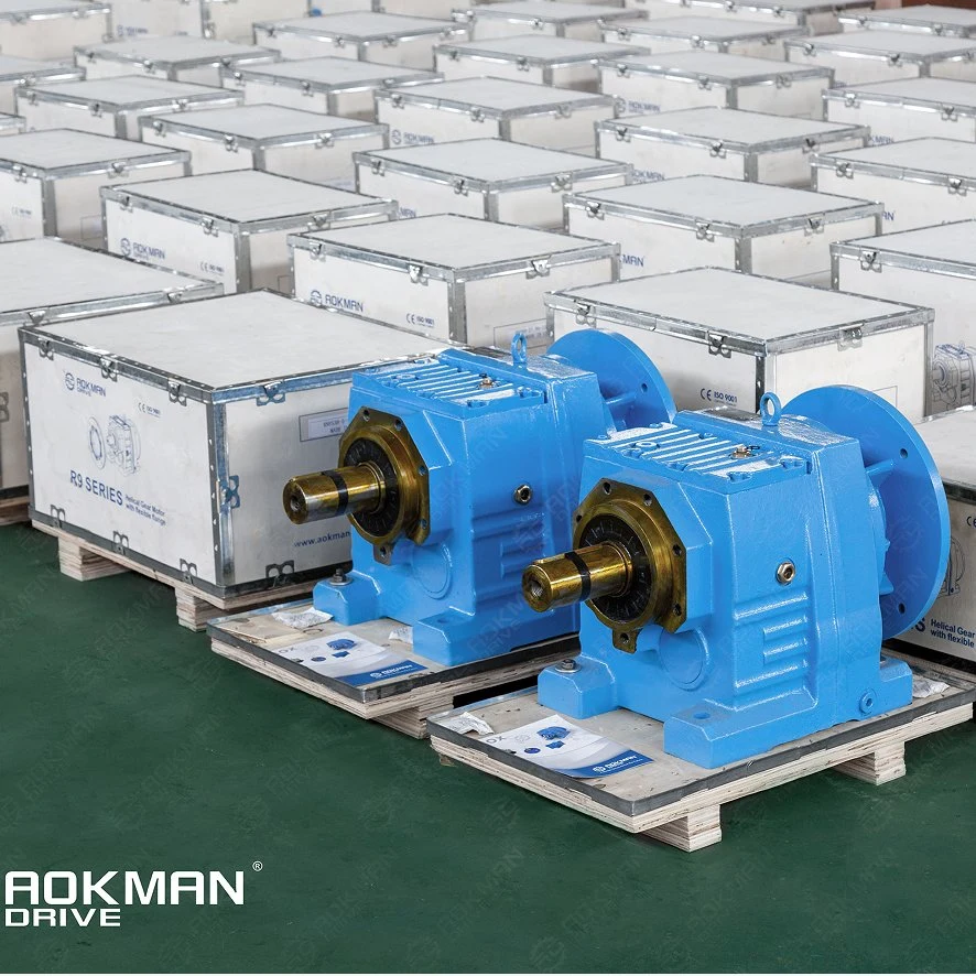 High Efficiency Gearbox R Series Helical Coaxial Reductor