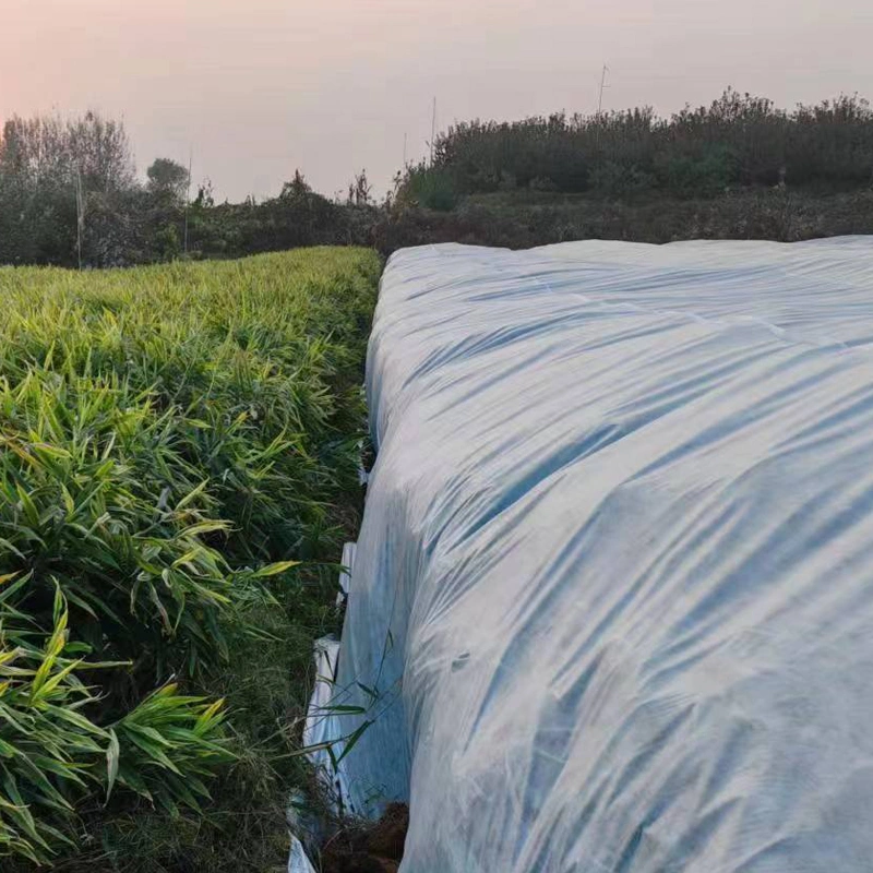 Agricultural Crop Landscape Use PP Spunbond Non Woven Material Factory