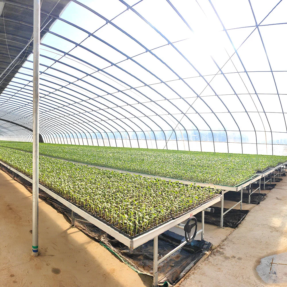 Vegetable Fruit Flower Growing Anti-UV Tensile and Wear Resistance Po Greenhouse Film with Ventilation/Cooling System