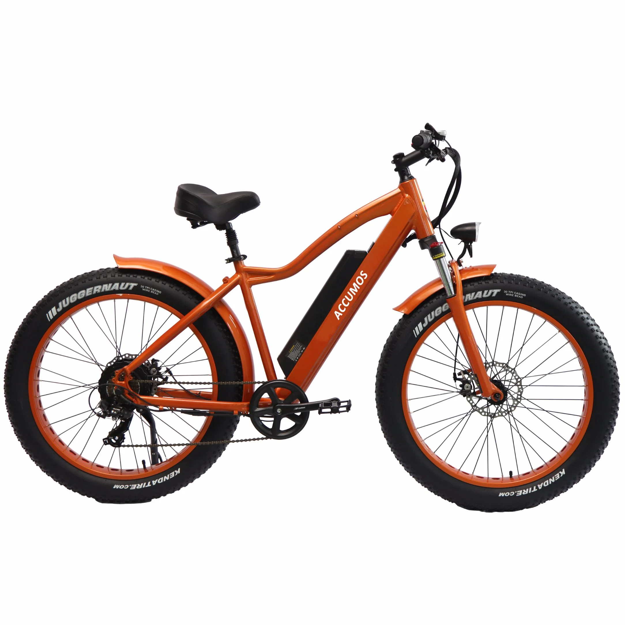 500W/1000 W de potência elevada e bicicletas de montanha de gordura Scooter Eléctrico bicicleta eléctrica/aluguer