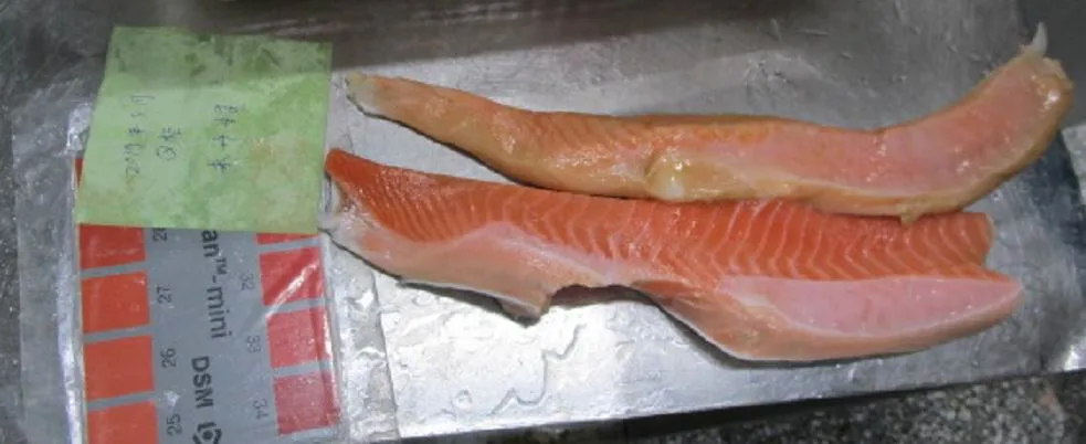 Atlantic Salmon Belly Meat, Bqf