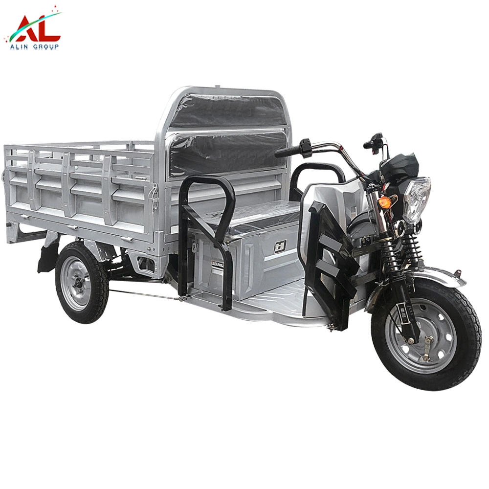 650W 500W Differiential Motor 3 Wheel Trike CE with for Adult Passenger and Cargo Carry Electric Tricycle