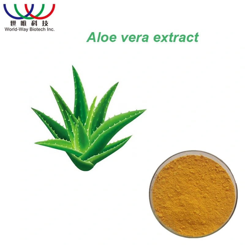 Extrato de Aloe Vera em pó 200:1