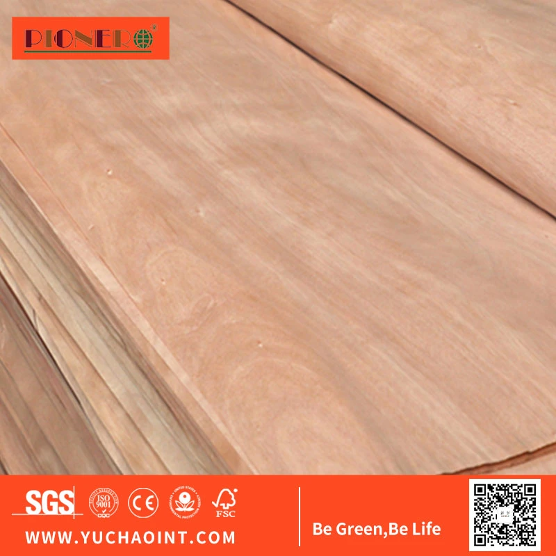 Natural Okoume/Birch/Pine Wood Veneer for India, Malaysia, Indonesia