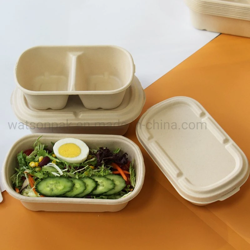 Moldeado pulpa Eco biodegradable, microondas y congelador caja caja de comida para llevar