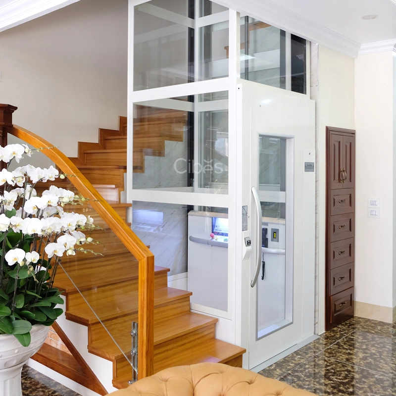 Tuhe Sightseeing Home Villa Passenger Elevator Lift for Residential Building Price