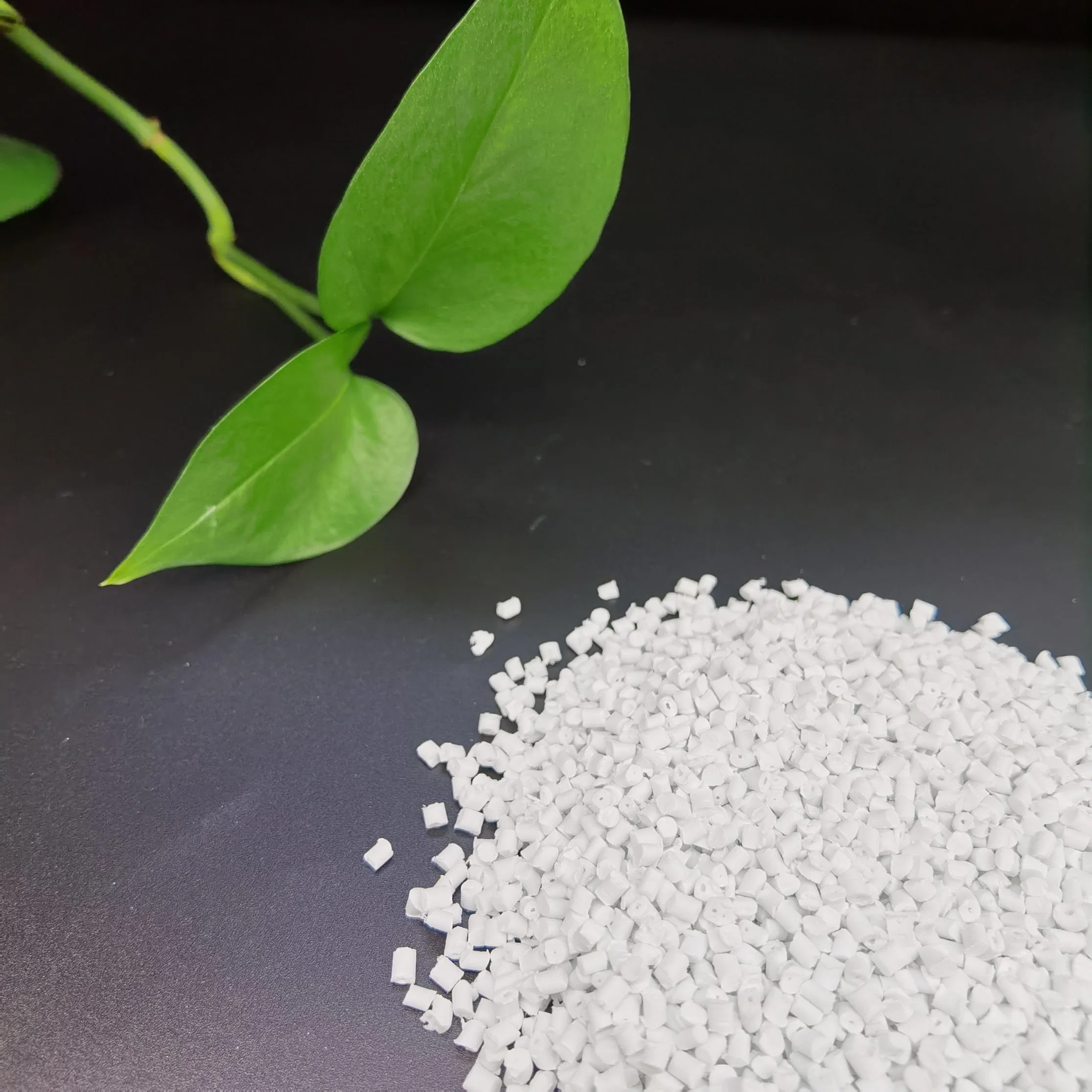 Plastic PP Granule Plastic Material PP GF30 Modified Plastic PP Raw Material