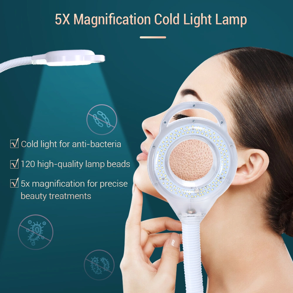 Hot and Cold Nano Mist Spray Facial Steamer with Cold Light Magnifying Lamp