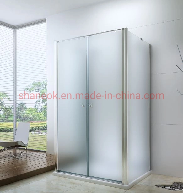 Minimalist Design Shower Enclosure with Frosted Glass Building Material