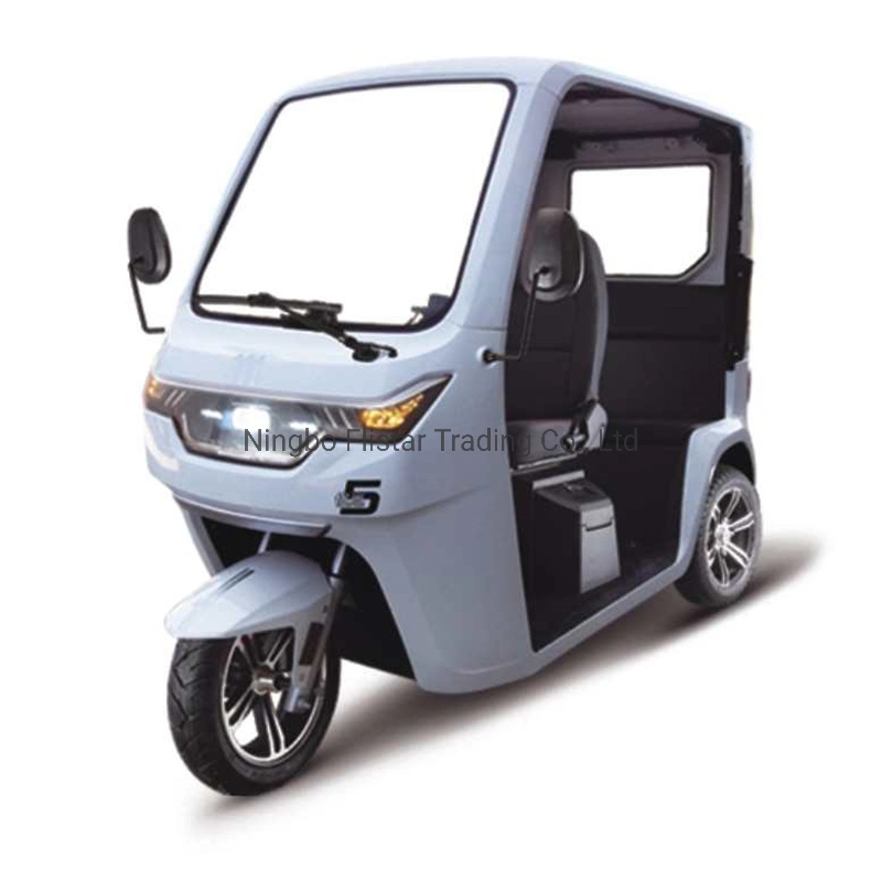 Triciclo eléctrico de adultos E-rickshaw Tuk Tuk para el pasajero