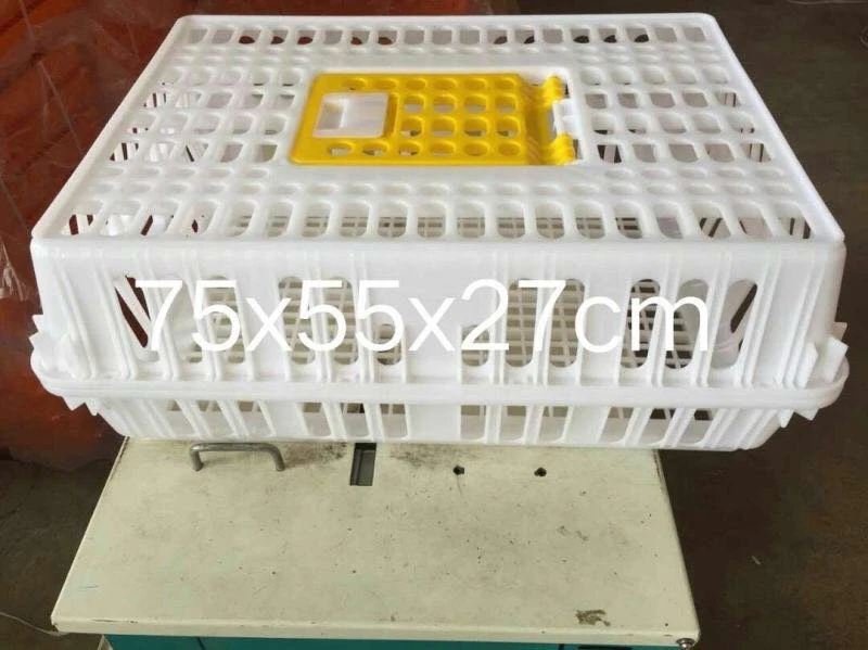 Colorful PE Raw Material Large Transport Basket Crate Box for Poultry Live Chicken Duck