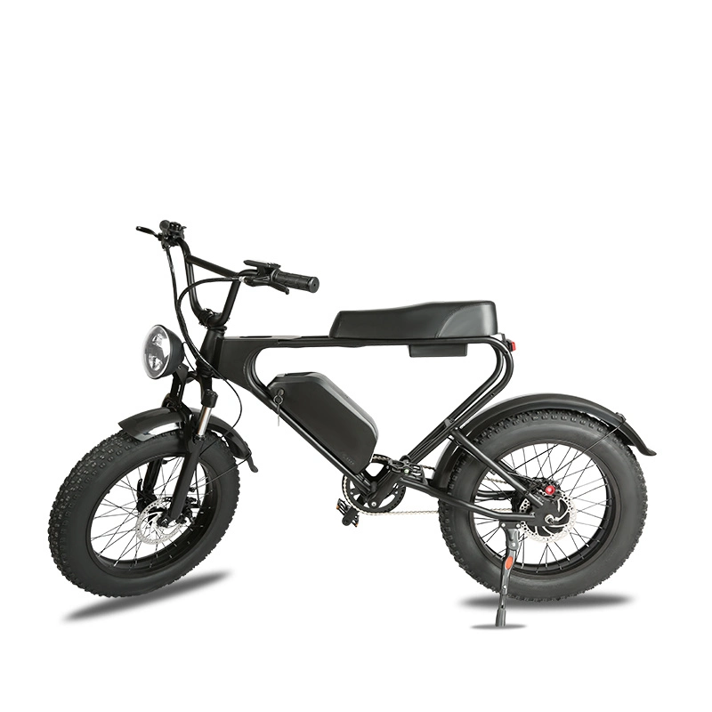 20inch 20 Inch Motorcycle Utility Bicycle Bikes Women Endure Electric Bike Ebike