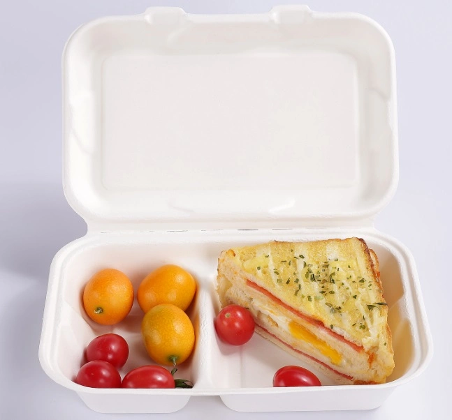 Comida ligera Multi-Square desechables Box Lunch Box Caja de embalaje biodegradables