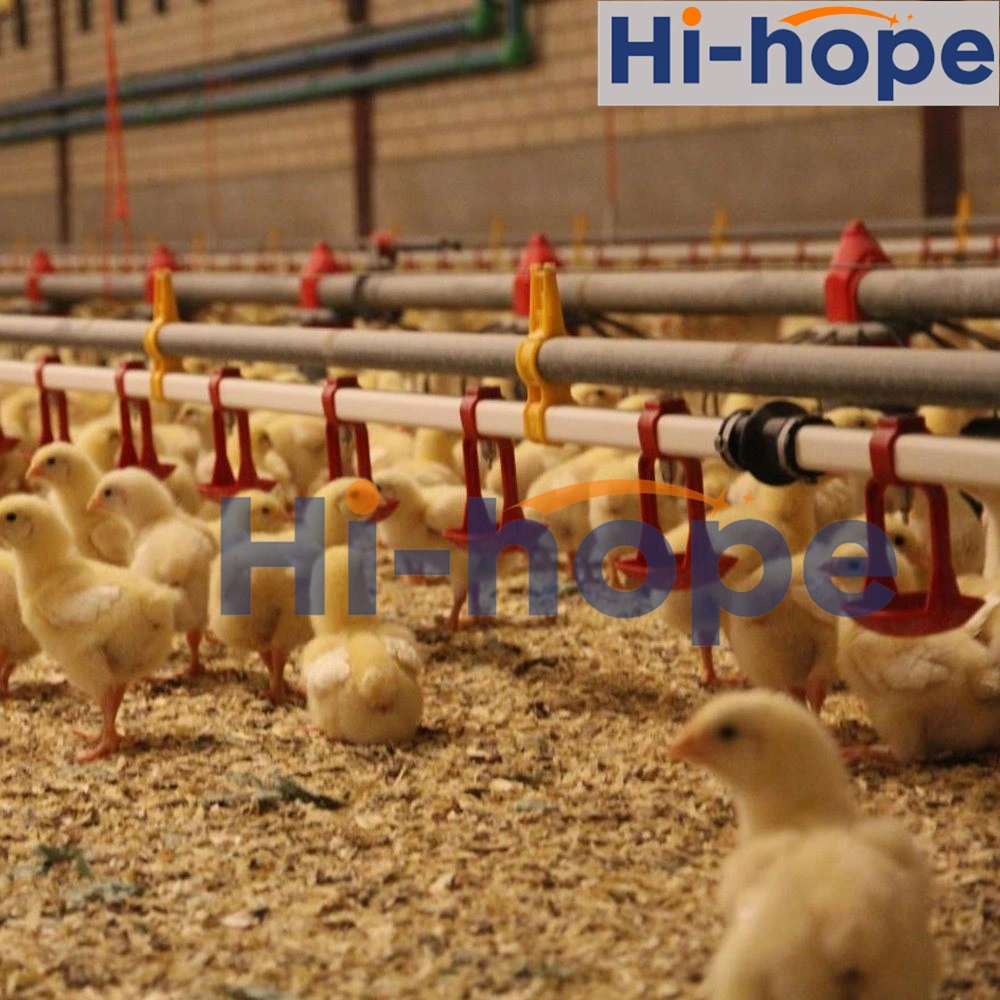 China Nipple Drinker Automatic Poultry Nipple Drinking System for Chicken