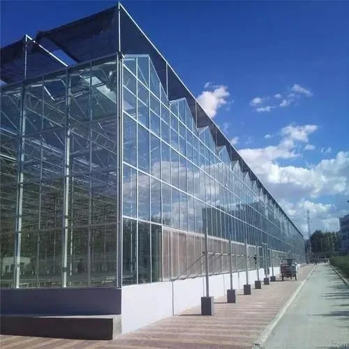 Glass Covered Farming System for High Quality Vegetables/Garden/Flowers