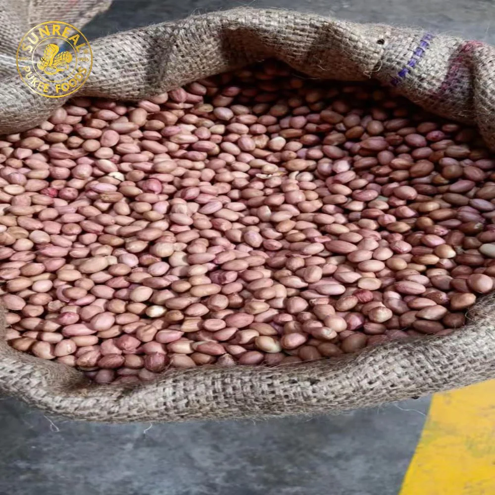 Roasted Peanut Kernels with Skin/Hsuji/Good After-Sale Service/Big Brand