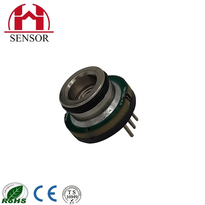 Professional Digital Compensation Technology Manufactured Wall - Mounted Furnace Water Pressure Sensor