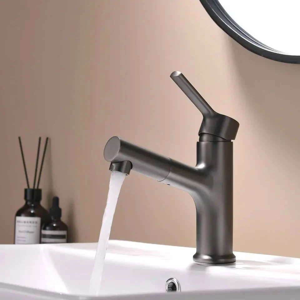 Zb6033 Hot Sale High Quality Brass Pull out Basin Faucet